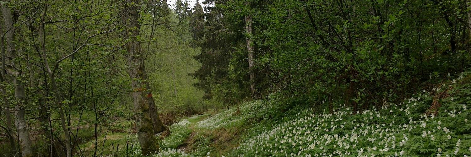 Restoration Network banner