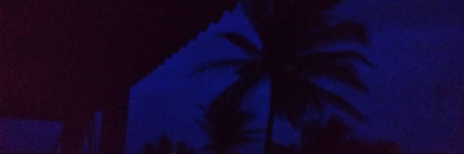 riziafernandees's profile banner image