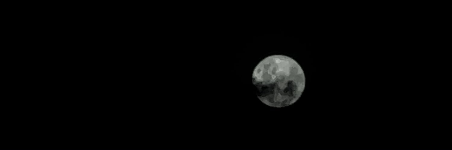 biasanchesf's profile banner image