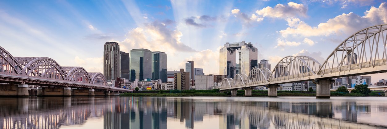 Louis Garguilo banner