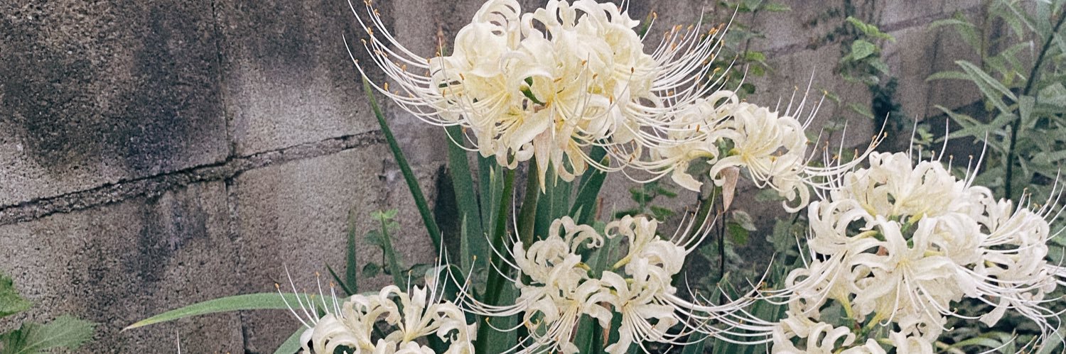 ・ゆきんたん・ banner