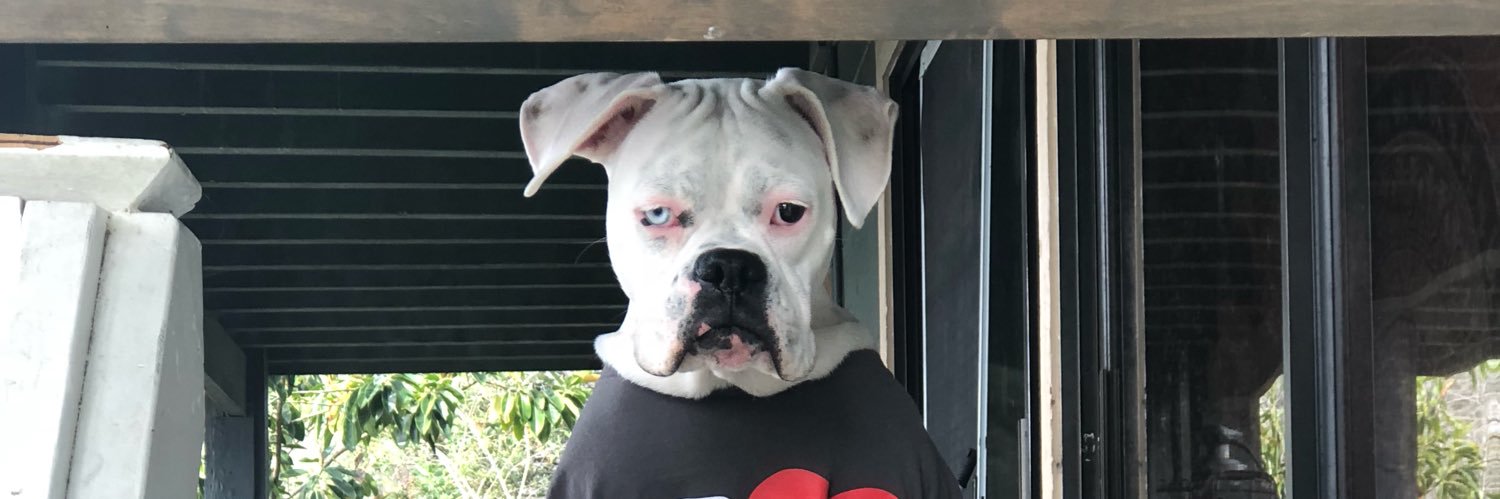 Madi_gucci's profile banner image