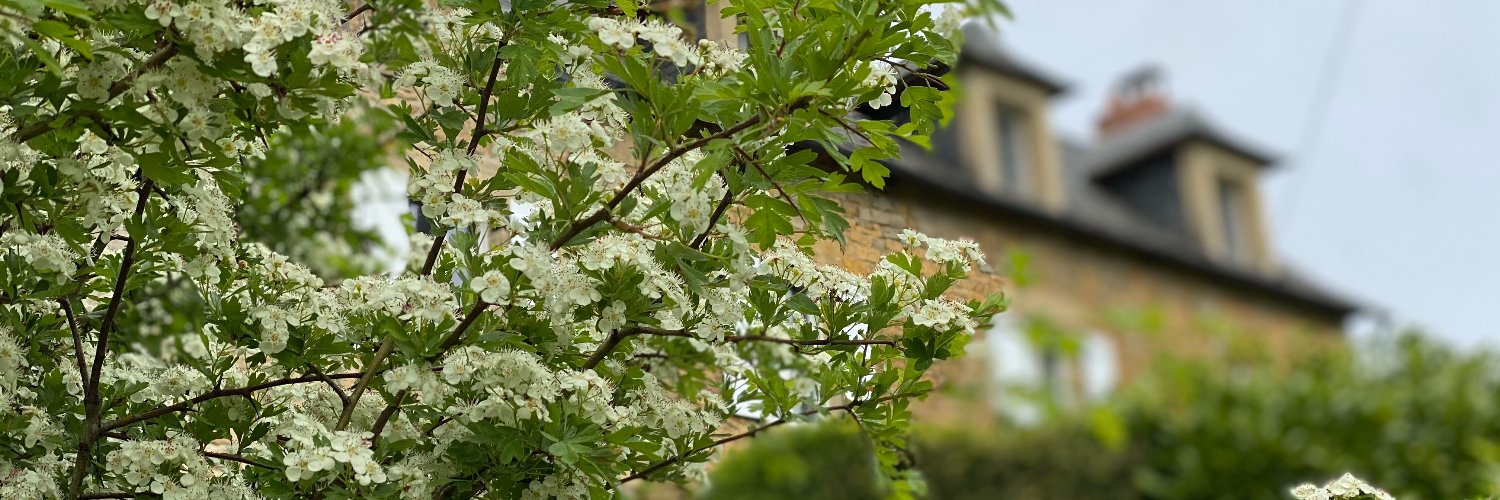 Gail Bowen-Huggett banner