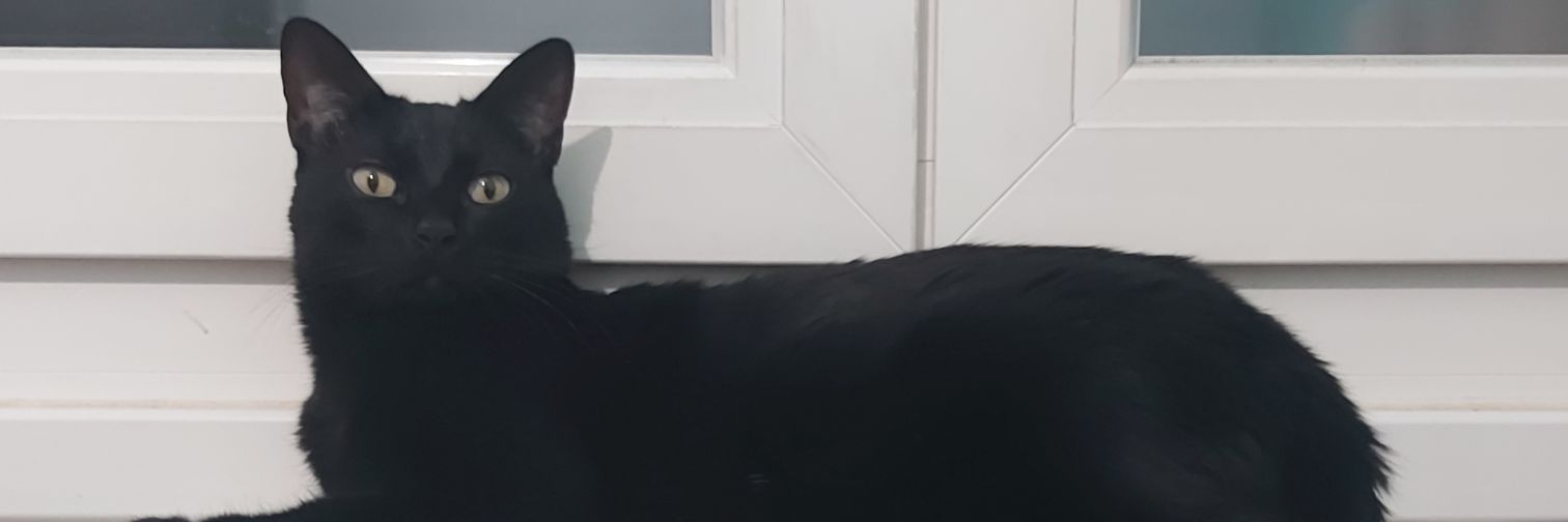 P_RB's profile banner image
