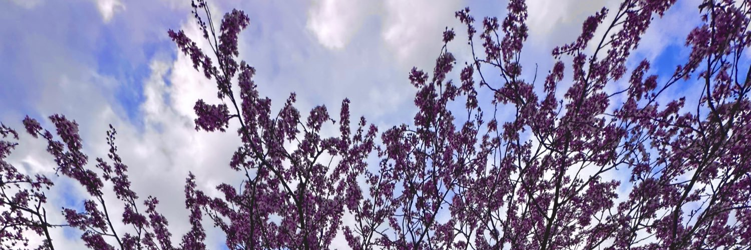 PMSEMPLESTIL's profile banner image