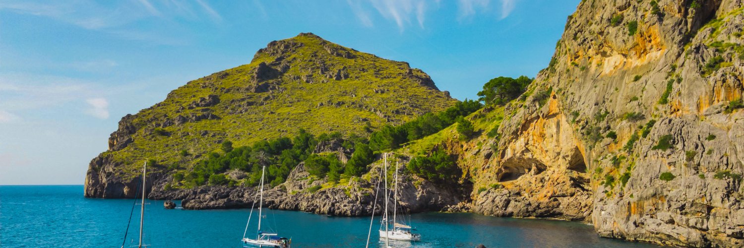 D Λ N N I   R Ξ D S banner