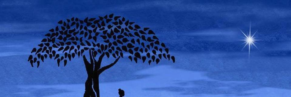 seamick81's profile banner image