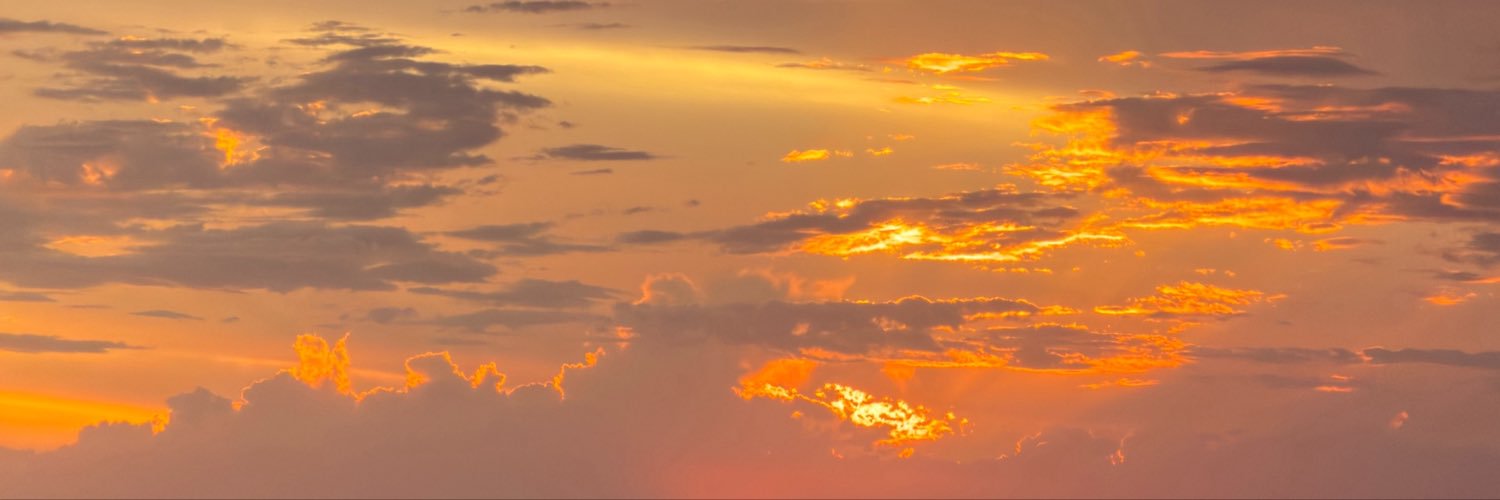 Carm0lin's profile banner image