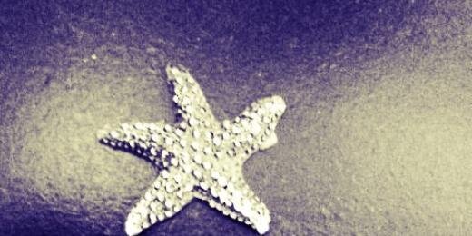 STARFISH2nd's profile banner image