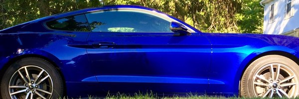 Mustang Driven Profile Banner
