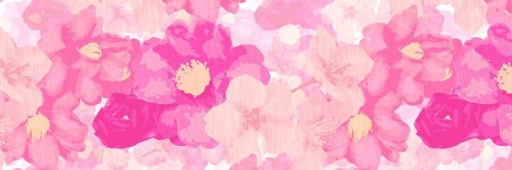kstepp13's profile banner image