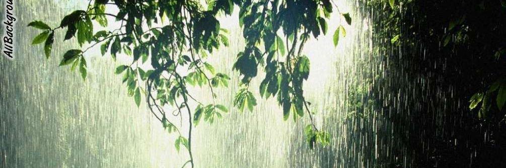 AElizabethBrown's profile banner image