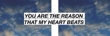 ridipayne's profile banner image