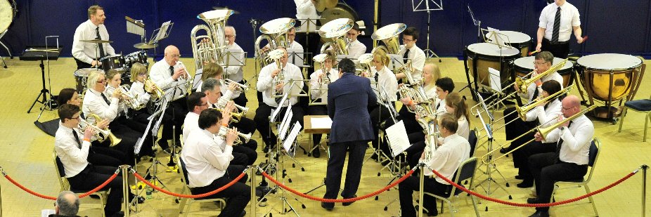 PillowellSilverBand banner