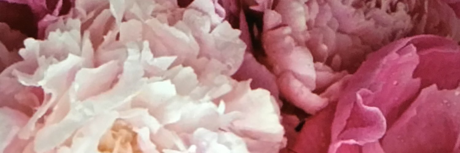 PixtalPeep's profile banner image