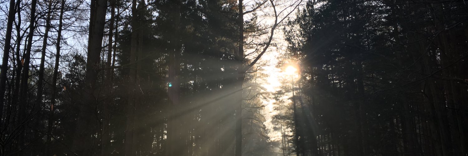 StephKelly7's profile banner image