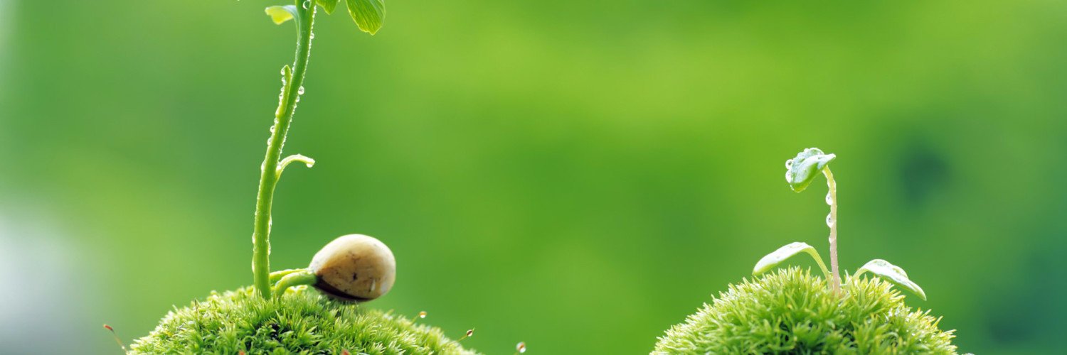 AmbienteMR's profile banner image