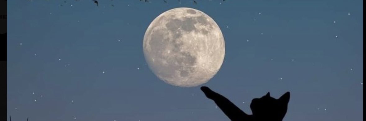 ℐ ☼ banner