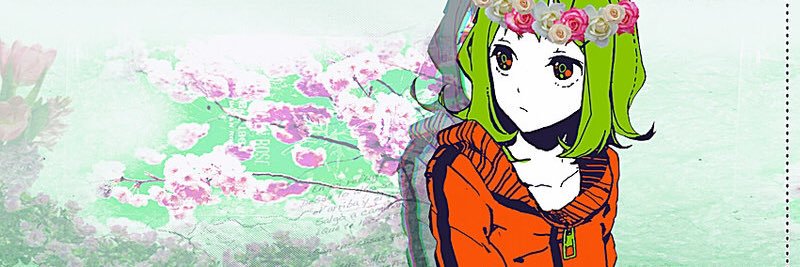 lmerudy's profile banner image