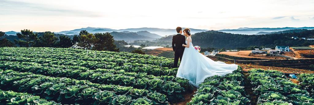 Alberto nicolas banner