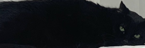 IngrydBenevides Profile Banner