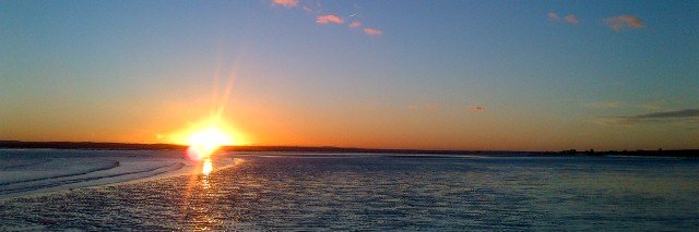 Shawls 🏏📚🎬 banner