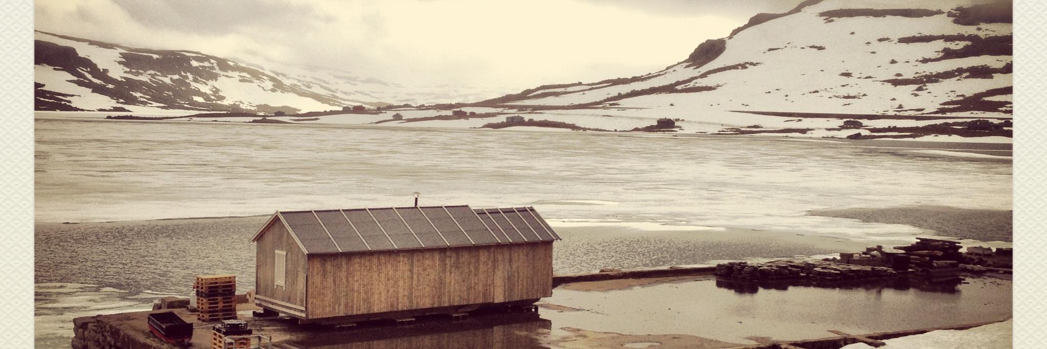 Philip Wogart banner