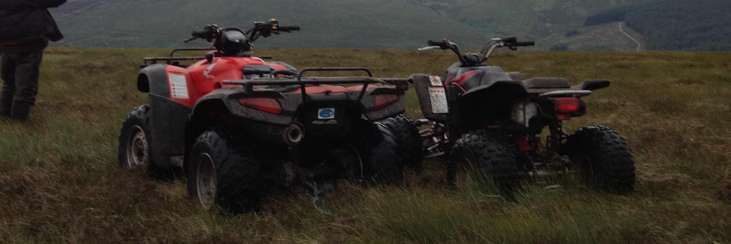lmccarthy22's profile banner image