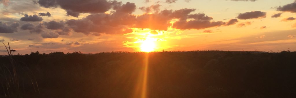 lilreddenison's profile banner image