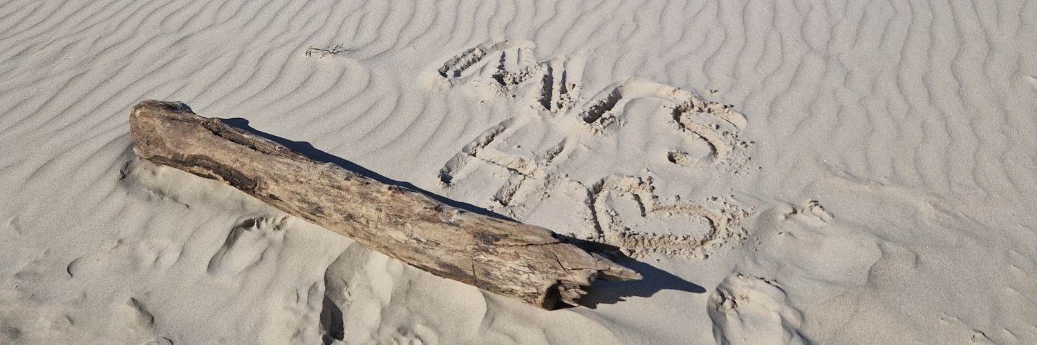 Mrs Henstridge and P1 banner