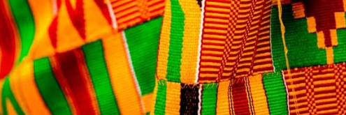 SCANJ banner