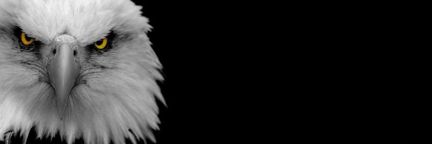 mertcan__67's profile banner image