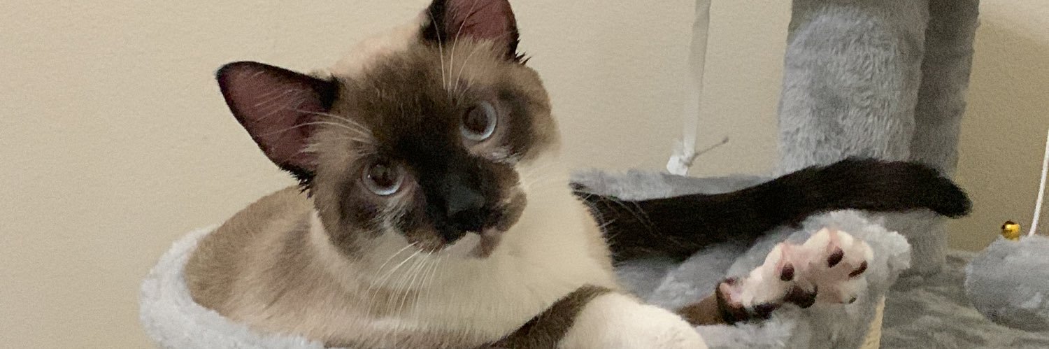 simmi_loves's profile banner image