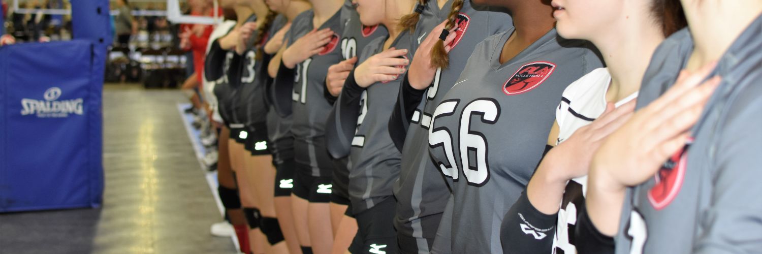 Prolink Volleyball Club banner
