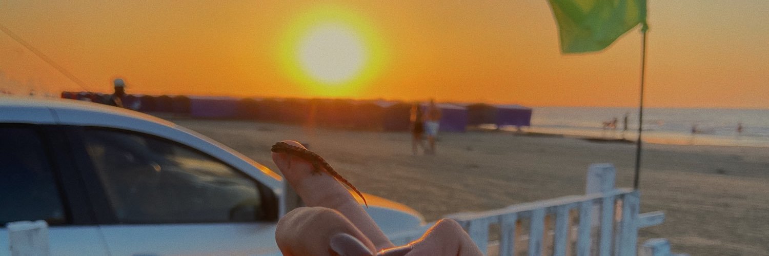 luciaserraj's profile banner image