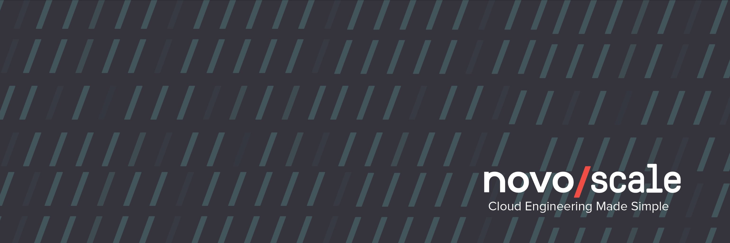 NovoScale banner