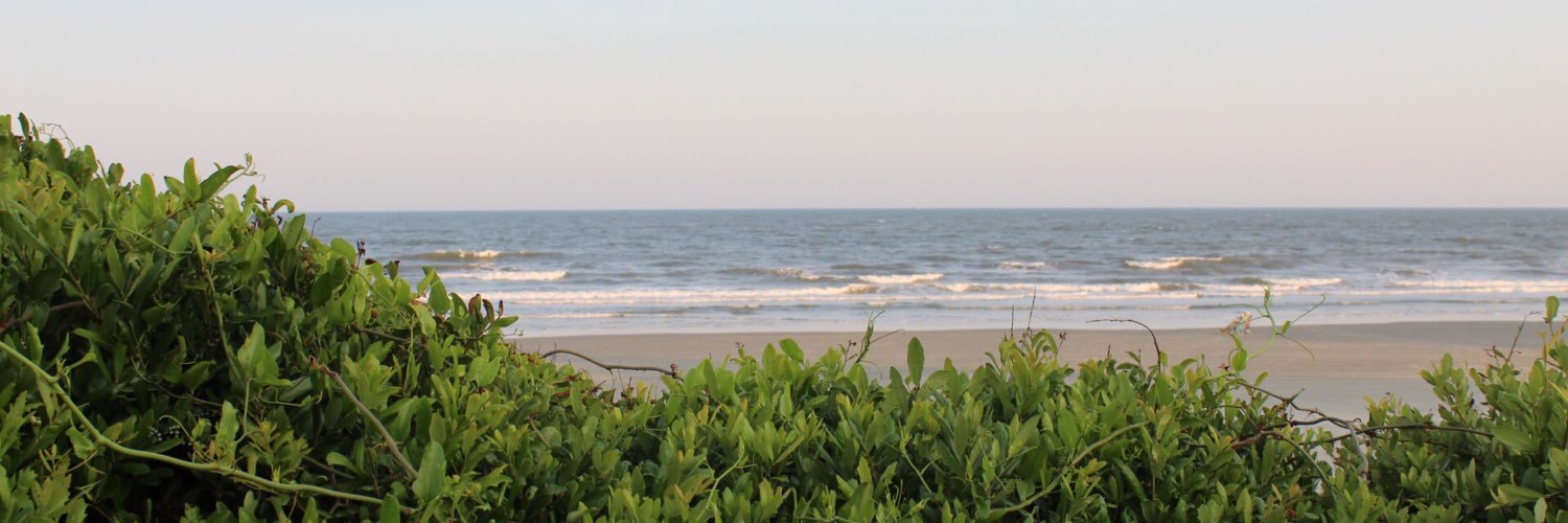 Lindsey Neels banner