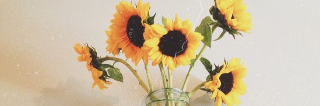 devin_lynnnn's profile banner image