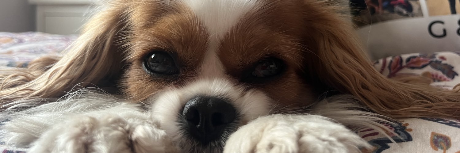 gemmperez5's profile banner image