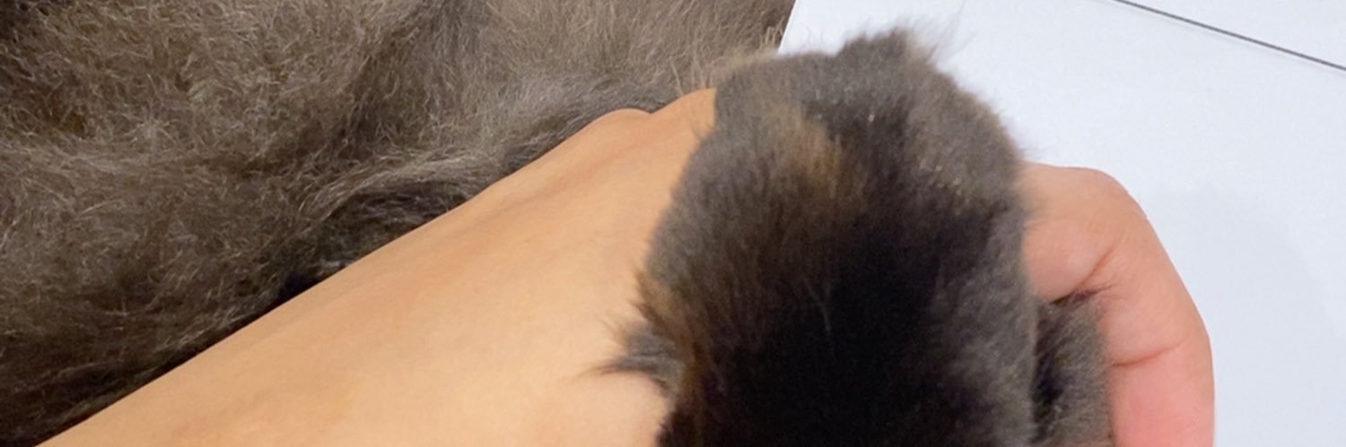 danahaladsani's profile banner image
