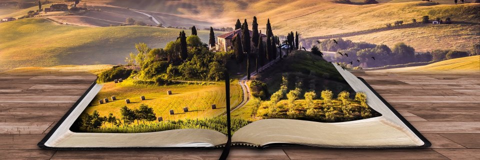 MarciaWilking's profile banner image
