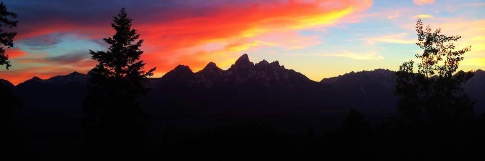 SheilaMoak's profile banner image