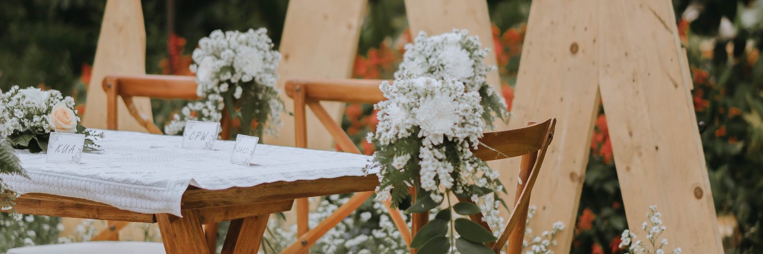 Helena Elsapaveta banner