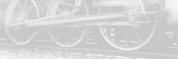 LEV_Capital Profile Banner