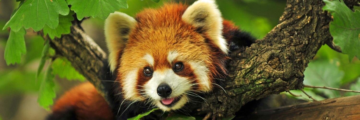 ArmelleCam's profile banner image