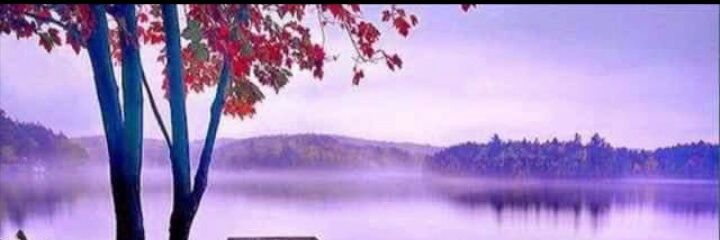 Sh233N's profile banner image