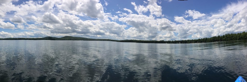 Janet Cummings banner
