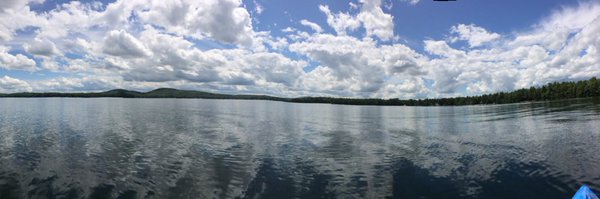 _JanetCummings Profile Banner