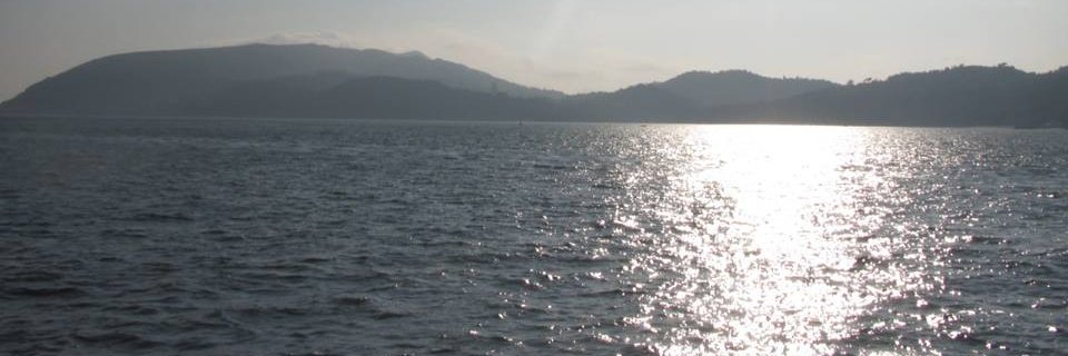 Elisa Rocha banner