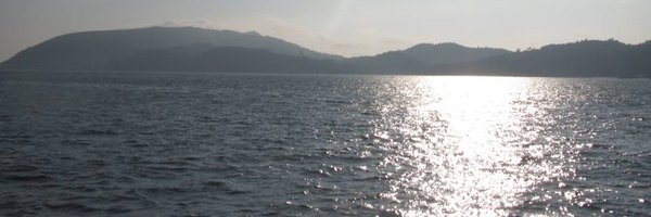 erocha50 Profile Banner